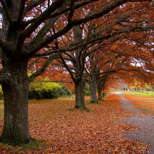 1st project Newsletter